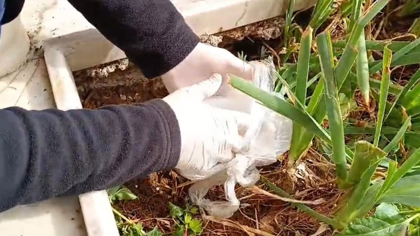 Hayırsız torun dedesinin mezarına uyuşturucu sakladı! - Resim : 1