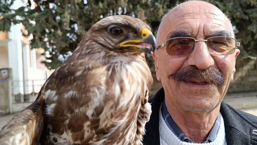 Gaziantep'te çiftliğinde gezerken bitkin halde yerde buldu. İki gün boyunca et ile besleyip yetkililere haber verdi. Ailesine dönmesini istiyor - Resim : 2