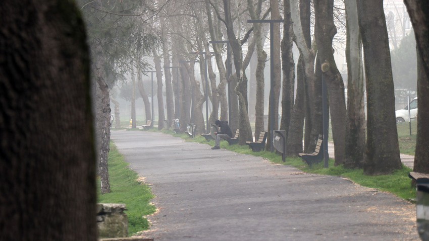 Sakarya'da sis etkili oldu! Parklar ve bahçeler sis perdesi ardında kayboldu - Resim : 1