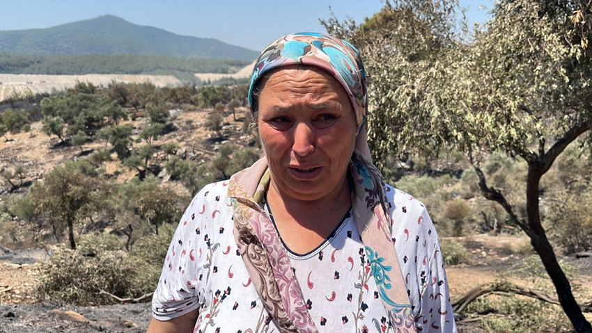 Milas’ta alevler yüzyıllık mirası yok etti! 70 yıllık zeytin ağaçları kül oldu! Mahalle sakinlerinin gözyaşları yürekleri dağladı! - Resim : 2