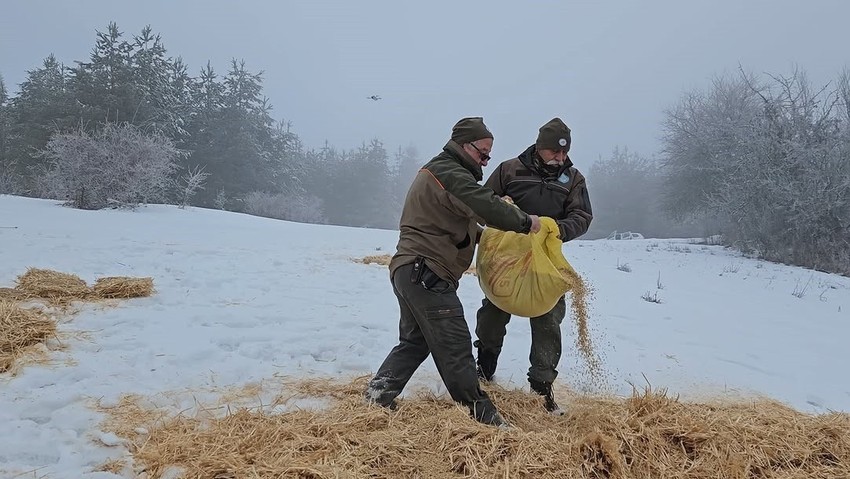 Kastamonu'da karla kaplı araziye bu kez onlar için gittiler. Doğanın ortasına tek tek bıraktılar - Resim : 1