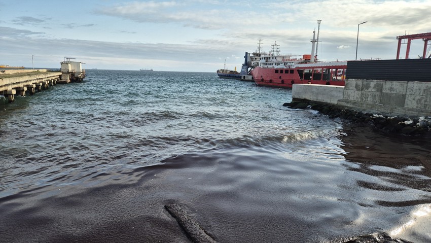 Marmara Denizi'nde etkili oldu. Tekirdağ kıyıları kızıla boyandı - Resim : 3