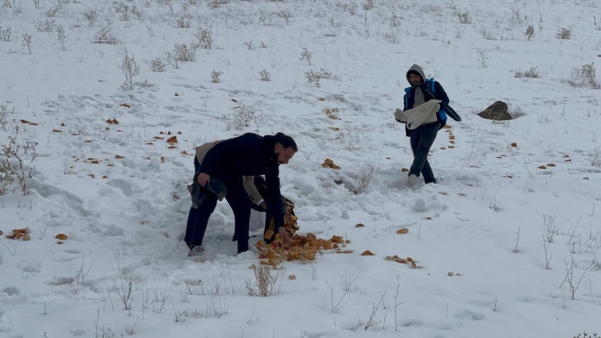 Van'da bir araya gelen grup, soğuk havaya aldırmadan karlı araziye gitti. Lokantalardan topladıklarını getirip karın üzerine bıraktılar - Resim : 2