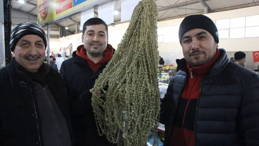 Elinde olanlar ihya oldu! Günün her saati alıcı buluyor! Fiyatı gram altını geçti! - Resim : 1