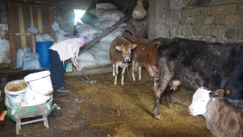 Gazete eki hayatlarını değiştirdi! Gezmedikleri yer kalmadı! İneklerini satıp tüm parayı ona yatırdılar - Resim : 3
