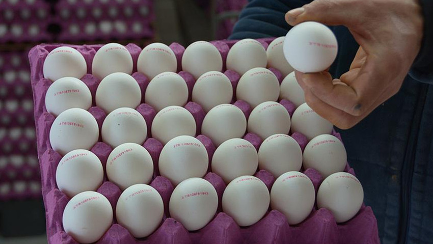 Yumurta fiyatlarına ABD etkisi! Fiyatlarında bayram indirimi - Resim : 1