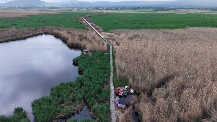 Sultan Sazlığı’nda 600 metrelik yürüyüş yolu yenilendi - Resim : 1