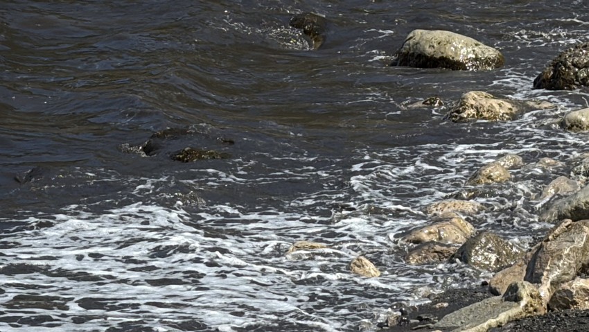Bartın Amasra’da deniz kirliliği gittikçe artıyor. Ekipler numune alarak inceleme başlattı - Resim : 1