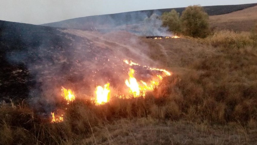 Artan hava sıcaklıklarından sonra ekipler olası orman yangıları için vatandaşları uyarıyor. Anız yakmayın! - Resim : 1