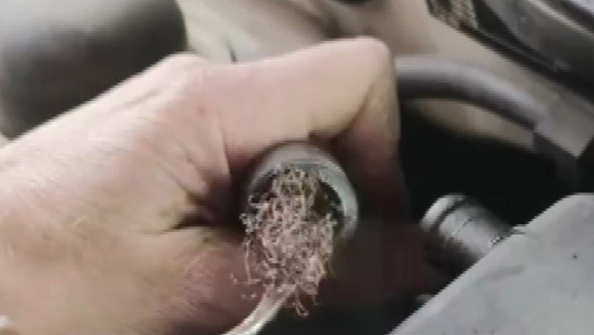 Araç almak isteyenler dikkat! Görenler 'yok artık' dedi... Otomobilin motorundan çıktı! Ne işe yaradığı merak edildi - Resim : 3