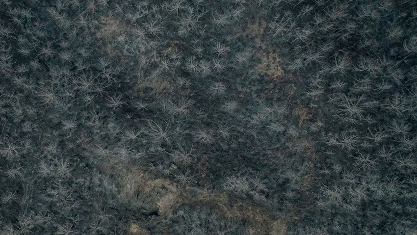 Bilecik orman yangınıyla mücadele ediyor! Yeşil siyaha döndü, yanan alanlar havadan görüntülendi - Resim : 5