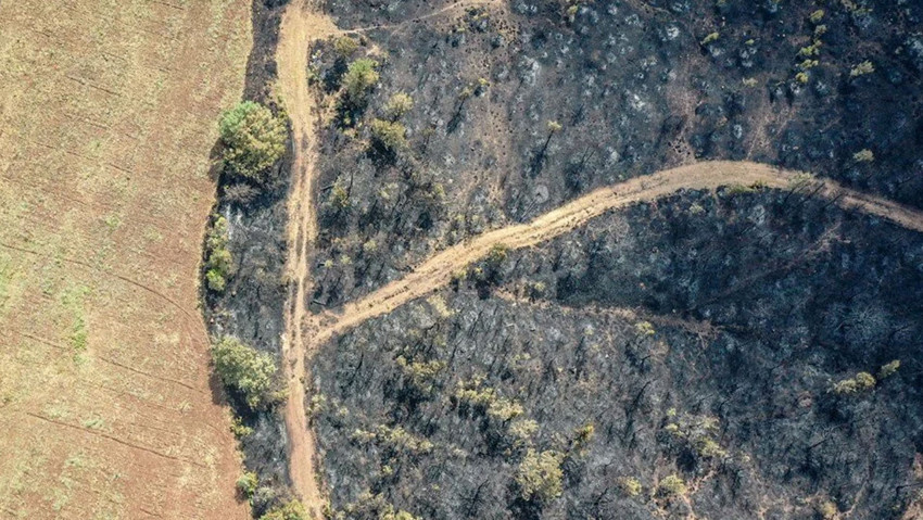 Bilecik orman yangınıyla mücadele ediyor! Yeşil siyaha döndü, yanan alanlar havadan görüntülendi - Resim : 9