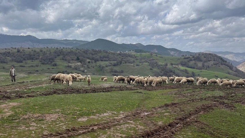 Sivas'taki zehir depolama havuzu vatandaşlara takıldı - Resim : 3