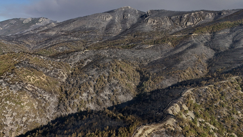 5 ilde orman yangınlarıyla mücadele devam ediyor: İşte son durum! - Resim : 1