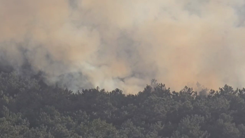 Ataşehir'de orman yangını! Çok sayıda ekip sevk edildi - Resim : 2