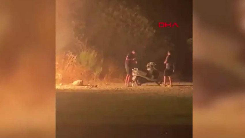Muğla'da doğa katliamı! Hainler suçüstü yakalandı, ormana yakma anları saniye saniye kamerada - Resim : 1