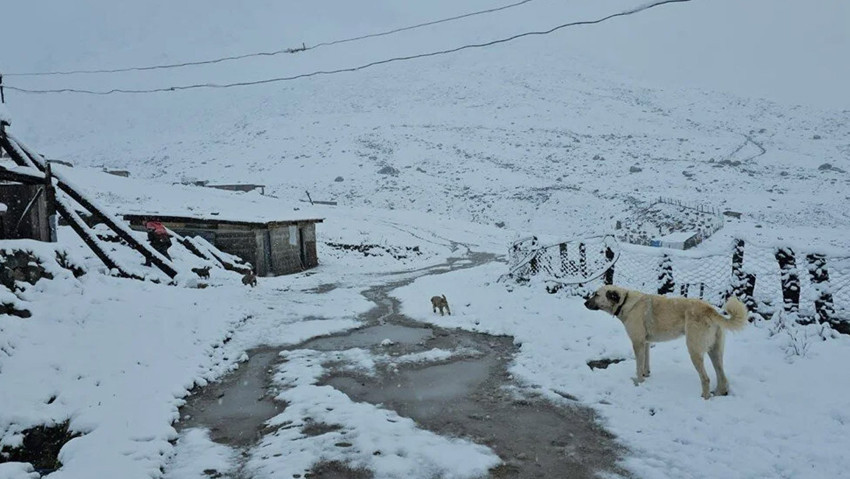 Karadeniz'de sonbaharda kar sürprizi: O il beyaz örtüyle kaplandı - Resim : 3