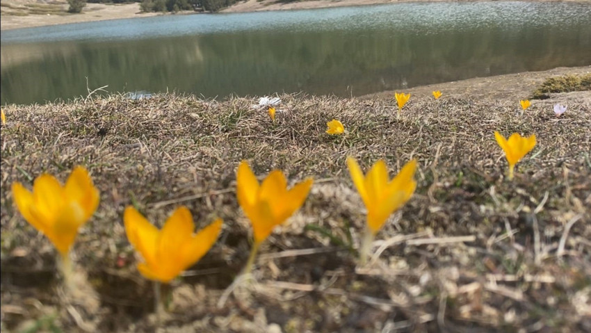 Türkiye için güzel haber Ankara'dan geldi! 100'lercesi bir anda değişti - Resim : 1
