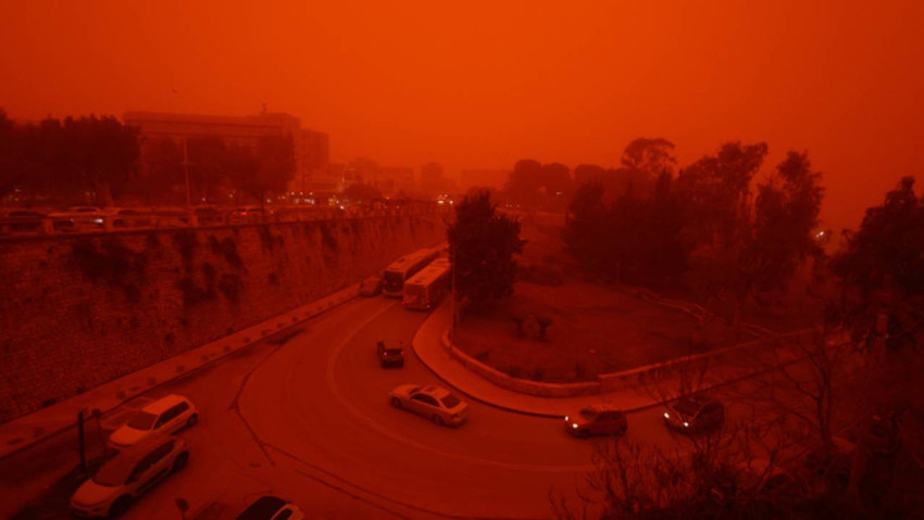 Bitkiye şifa, insana zehir! - Resim : 1