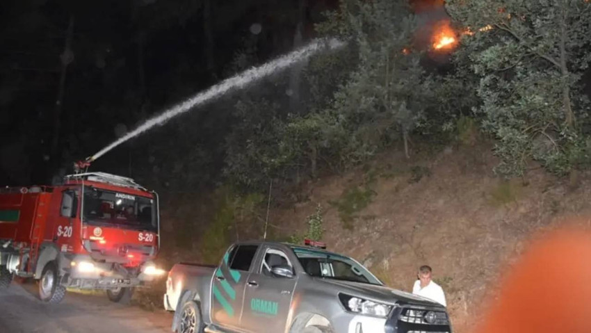 Şaka felaketle bitti: Ormanı yakan sanığa 43 milyon 752 bin lira ceza - Resim : 2