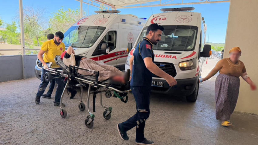 Şanlıurfa’da akılalmaz olay! Yılan avı kabusa döndü: 3'ü çocuk 5 kişiyi vurdu - Resim : 2