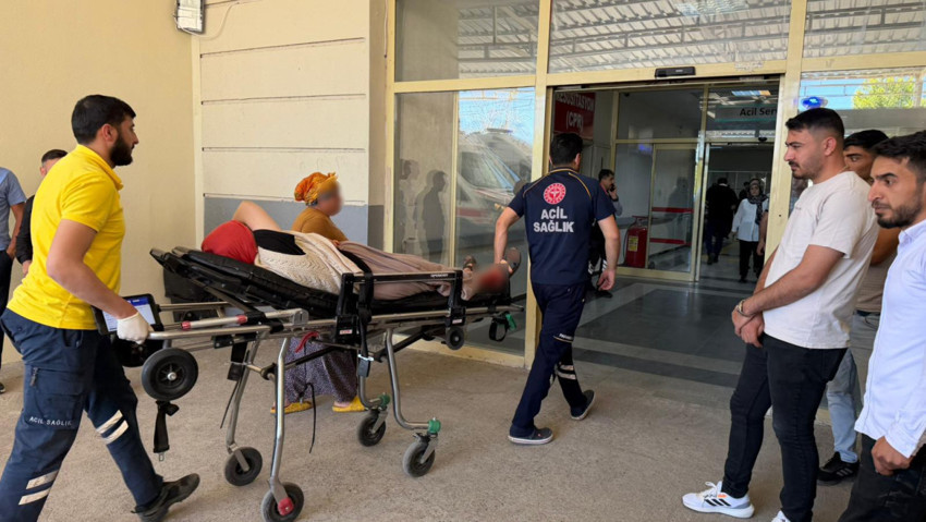 Şanlıurfa’da akılalmaz olay! Yılan avı kabusa döndü: 3'ü çocuk 5 kişiyi vurdu - Resim : 3