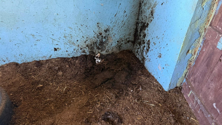 Şanlıurfa’da akılalmaz olay! Yılan avı kabusa döndü: 3'ü çocuk 5 kişiyi vurdu - Resim : 1