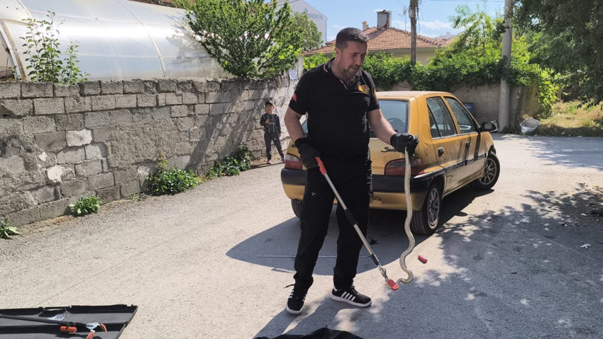 Çorum’da büyük panik! Otomobilin altından çıktı - Resim : 1