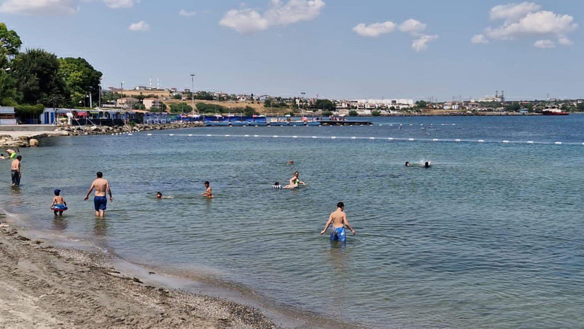 Marmara Denizi fokur fokur kaynıyor! Uzman isimden korkutan sözler: Dramatik bir artış var - Resim : 3
