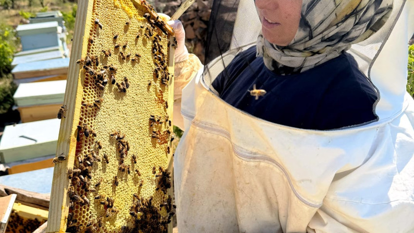 Kalp krizi ve kanseri yendi, şifayı arılarda buldu! Şimdi hedefi 500 kovan - Resim : 8