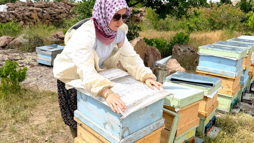 Kalp krizi ve kanseri yendi, şifayı arılarda buldu! Şimdi hedefi 500 kovan - Resim : 1