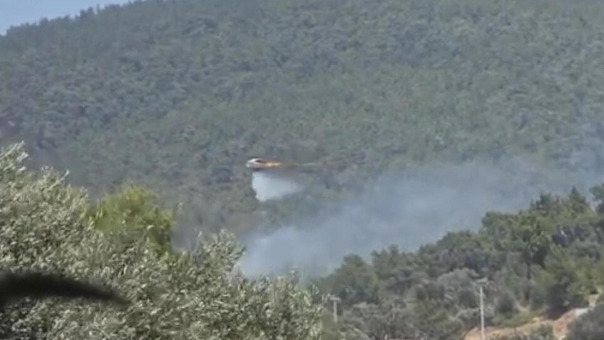 Bodrum’da başlayan yangın kontrolden çıktı: Alevler ormana sıçradı! - Resim : 1