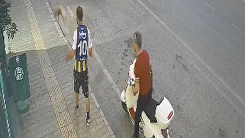 Samsun’da vicdanları sızlatan olayda yeni gelişme: Kediye tekme atan Şüpheli gözaltında! - Resim : 2