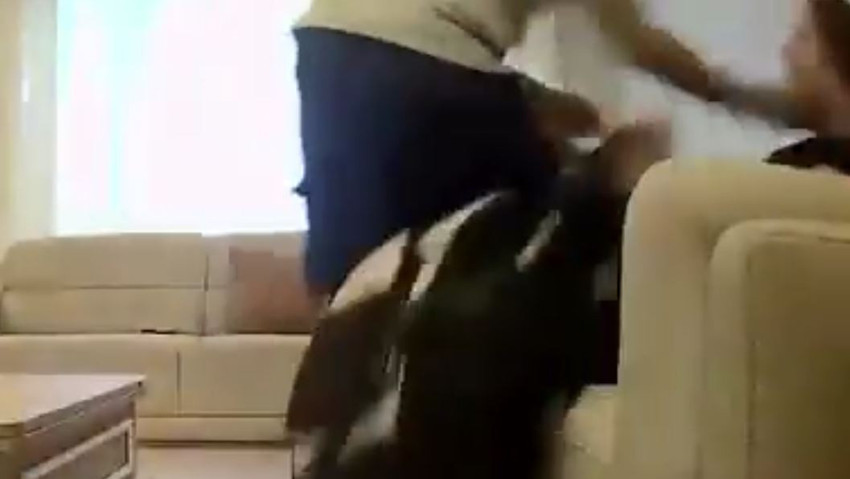 Eşinden gördüğü şiddeti kayda almıştı! Bakanlık harekete geçti: Şiddete sıfır tolerans - Resim : 2