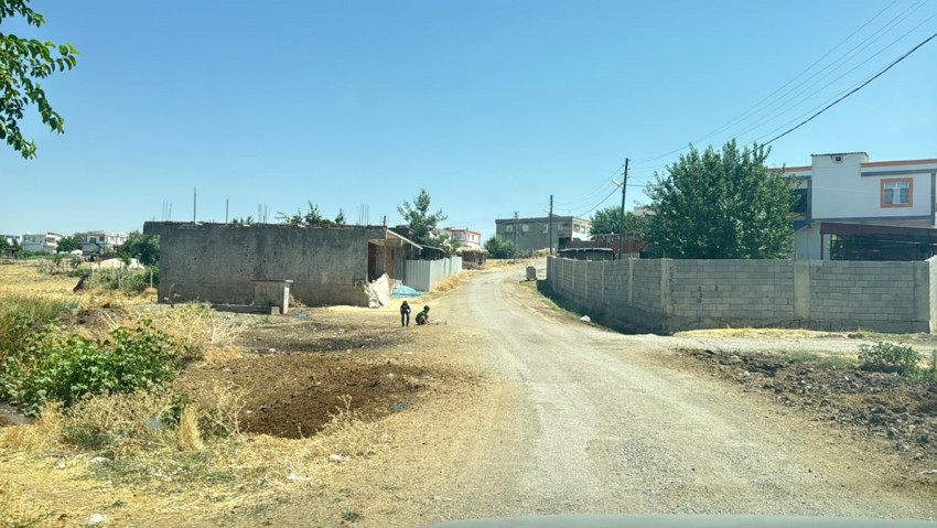 Diyarbakır'da bir mahallede büyük panik! Kedi tarafından ısırılan çocuk entübe edildi! Valilikten açıklama geldi - Resim : 1