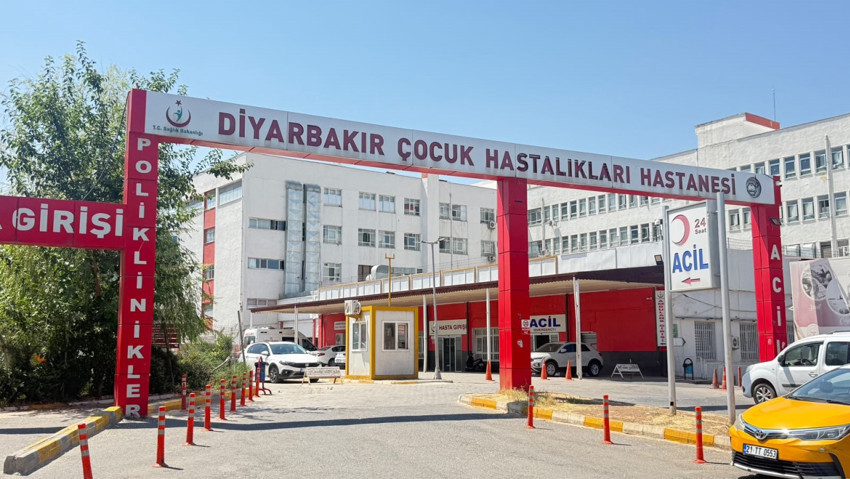 Diyarbakır'da bir mahallede büyük panik! Kedi tarafından ısırılan çocuk entübe edildi! Valilikten açıklama geldi - Resim : 2