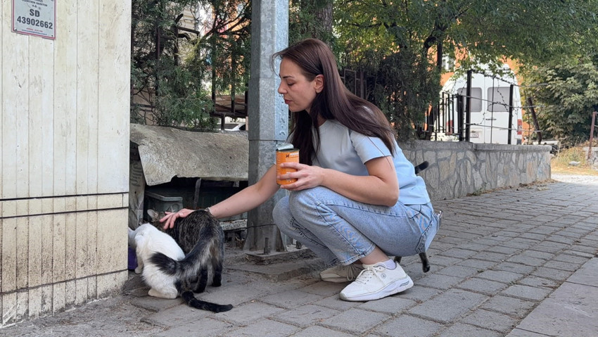 Kedilere yapılan vahşet kan dondurdu! Katledip apartman önüne bıraktılar - Resim : 1