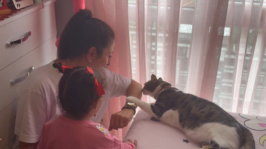 Hırsızların oyununu ‘Mucize’ kedi bozdu! 45 dakika boyunca pati atarak direndi: O anlar kamerada… - Resim : 4