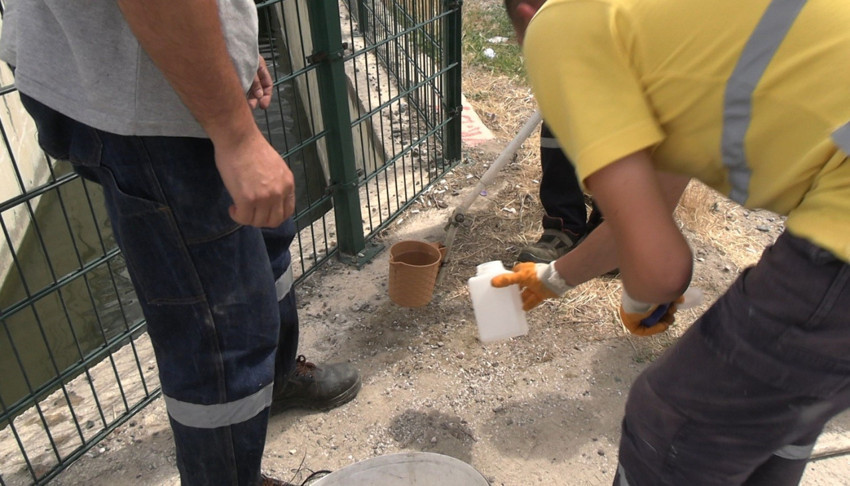 Kütahya Tavşanlı’da taşkın kanalında yaşanan balık ölümleri endişe yarattı - Resim : 1