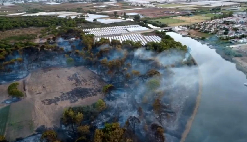 Antalya, Çanakkale ve Konya'da orman yangını! Son durum ne? - Resim : 2