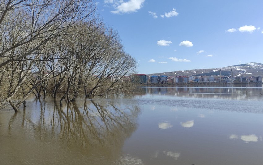 Karlar eridi, Kura Nehri taştı: Ardahan Ovası göle döndü - Resim : 1