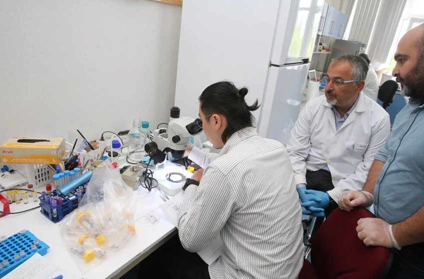 Türkiye'de yeni bir kene türü tespit edildi! Japon uzmandan korkutan uyarı: 30'dan fazla hastalık taşıyor - Resim : 3