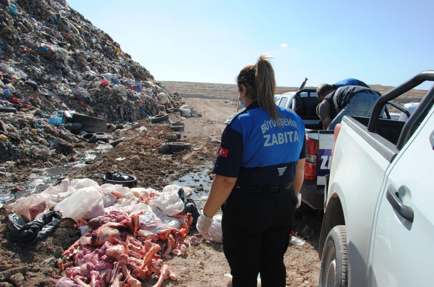 Şanlıurfa’da servis edilmek üzere hazırlanmış 1 ton bozuk et ele geçirildi - Resim : 3