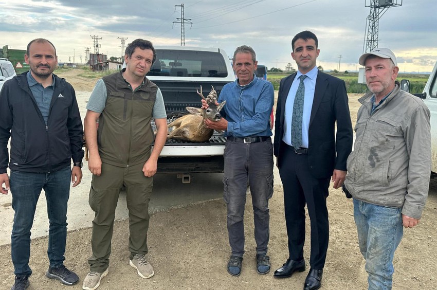 Edirne İpsala’da sulama kanalından gelen çırpınış sesleri çevredeki insanları harekete geçirdi. Kanalda o hayvanı görünce hemen kurtardılar - Resim : 1