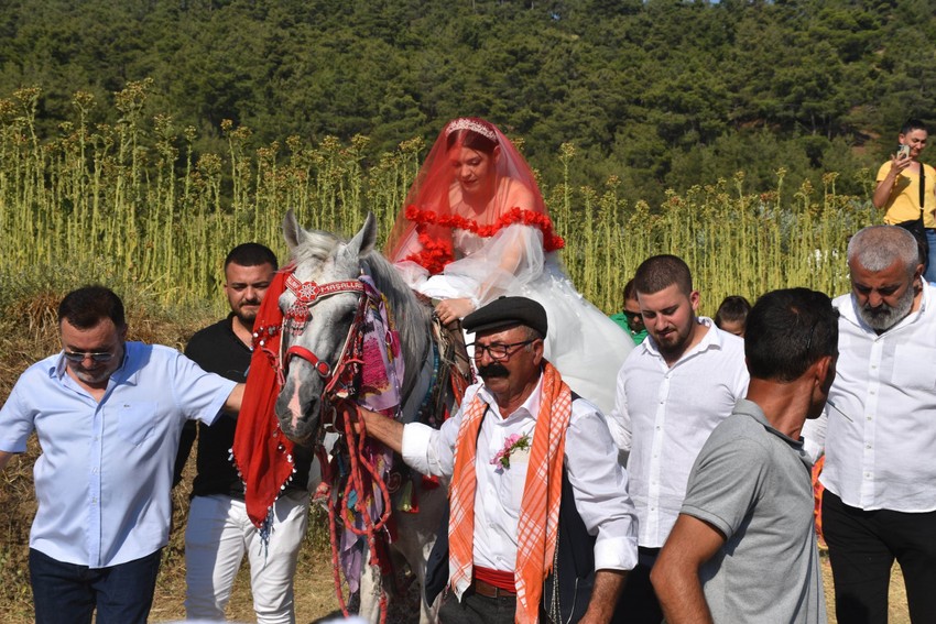 Baba mesleğini 30 yıldır icra eden at bakıcısı, düğünde atıyla karşılıklı harmandalı oynadı - Resim : 2