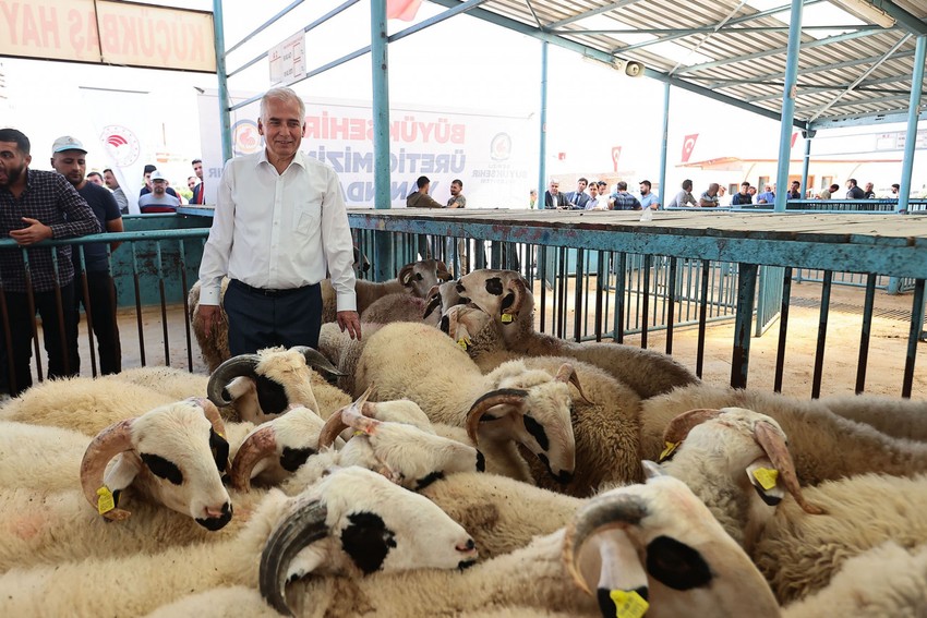 Üreticiler talep etti onlar yaptı... Yaklaşık 650 bin küçükbaş ve büyükbaş hayvan için 140 bin adet mineral taşı dağıtıldı - Resim : 2