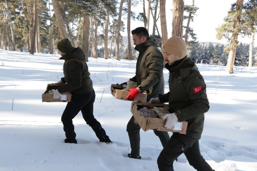 Sibirya soğuklarının etkili olduğu Ardahan'da onları unutmadılar. Yetkili ekipler, getirdikleri ne varsa arazinin farklı noktalarına bırakıp geri döndü - Resim : 1