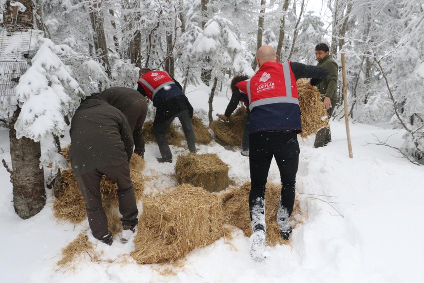 Uludağ'da karla kaplı araziye çıkan ekipler, bu kez yaban hayvanları için harekete geçti - Resim : 2