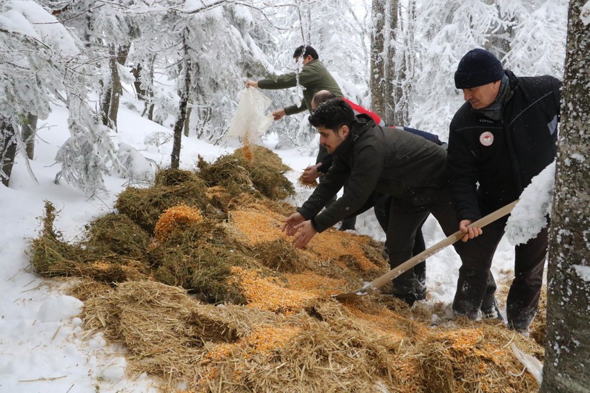 Uludağ'da karla kaplı araziye çıkan ekipler, bu kez yaban hayvanları için harekete geçti - Resim : 3