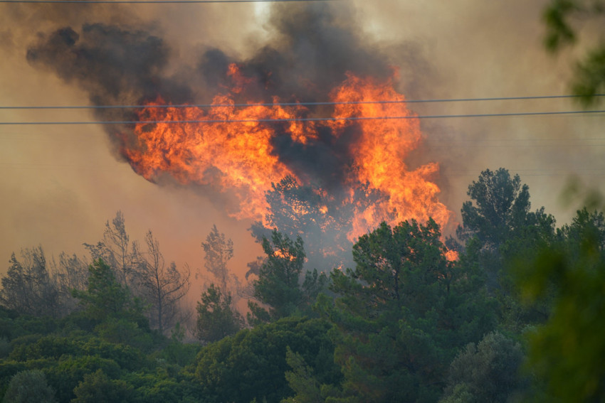 Alevlerle mücadele sürüyor! İzmir Çeşme'de yangın büyüyor... Üç mahalle için tahliye kararı - Resim : 4